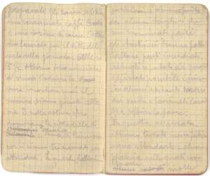 Diario del 25 Maggio Page_2