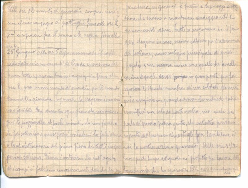 Diario 25 giugno 1915