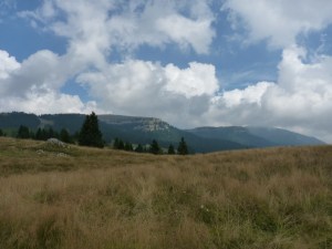 Tornado verso Passo Coe. Sullo sfondo Malga Piovernetta.