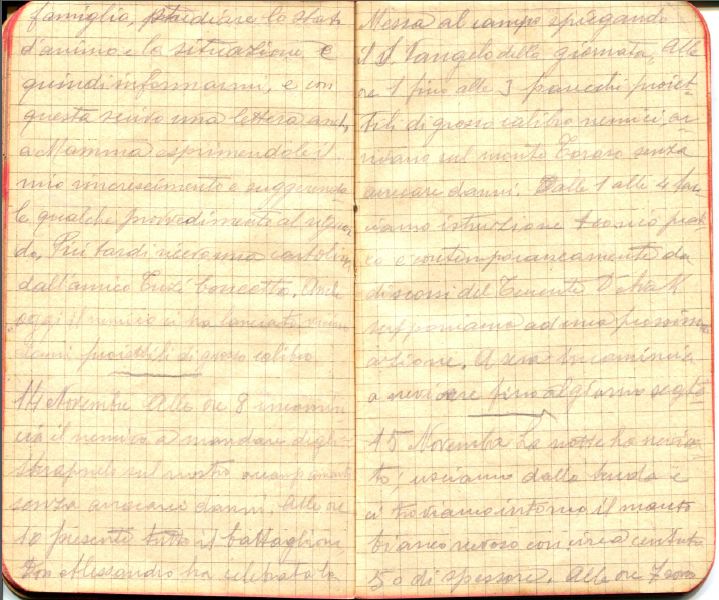 diari 14 novembre 1915