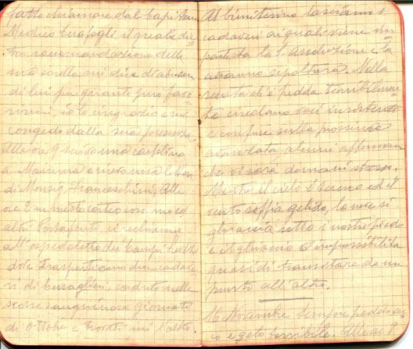 diari 15 novembre 1915