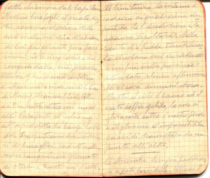 diari 15 novembre 1915