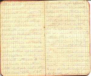 diari 21 novembre 1915