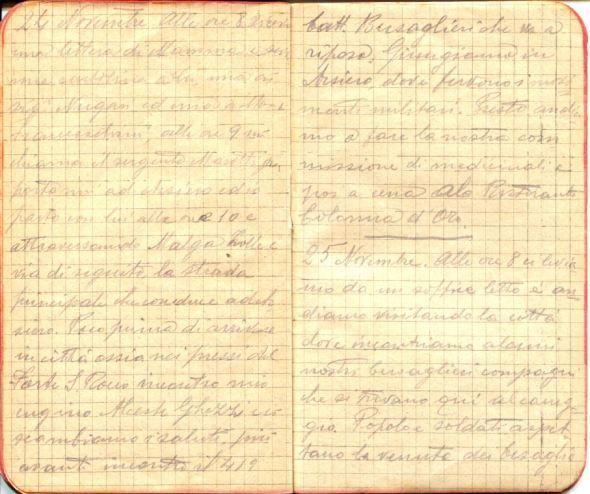 diari 25 novembre 1915