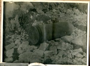 SCAN-FP-Alb-p-019-002